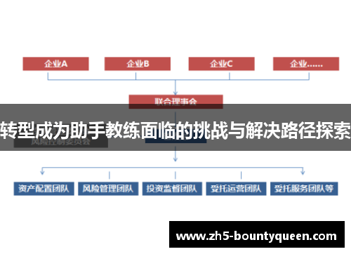转型成为助手教练面临的挑战与解决路径探索