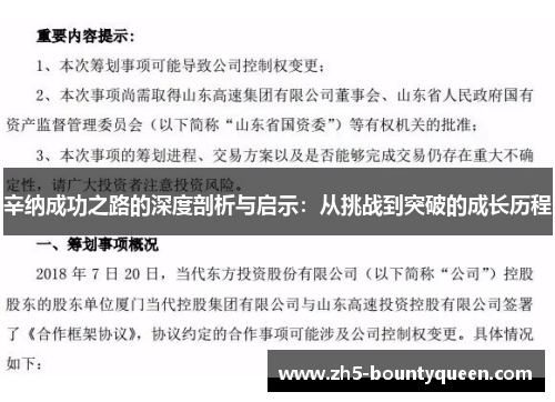 辛纳成功之路的深度剖析与启示：从挑战到突破的成长历程